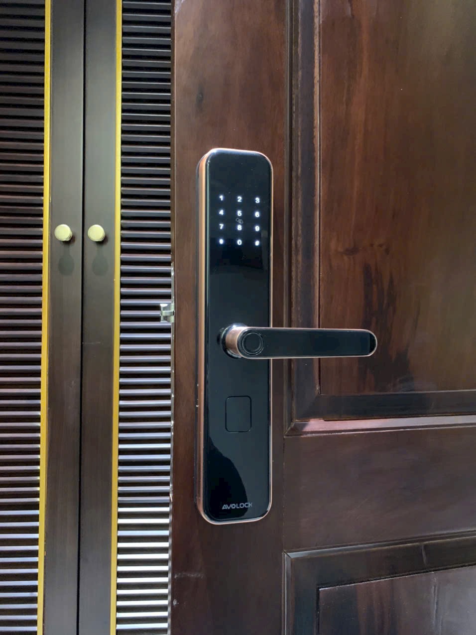 Khóa vân tay AVOLOCK AV-65 top 5 mẫu khóa bán chạy nhất của hãng AVOLOCK